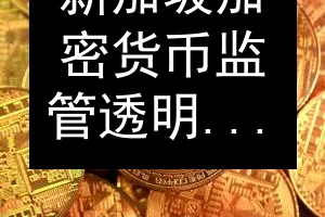 新加坡加密货币监管透明度高居榜首